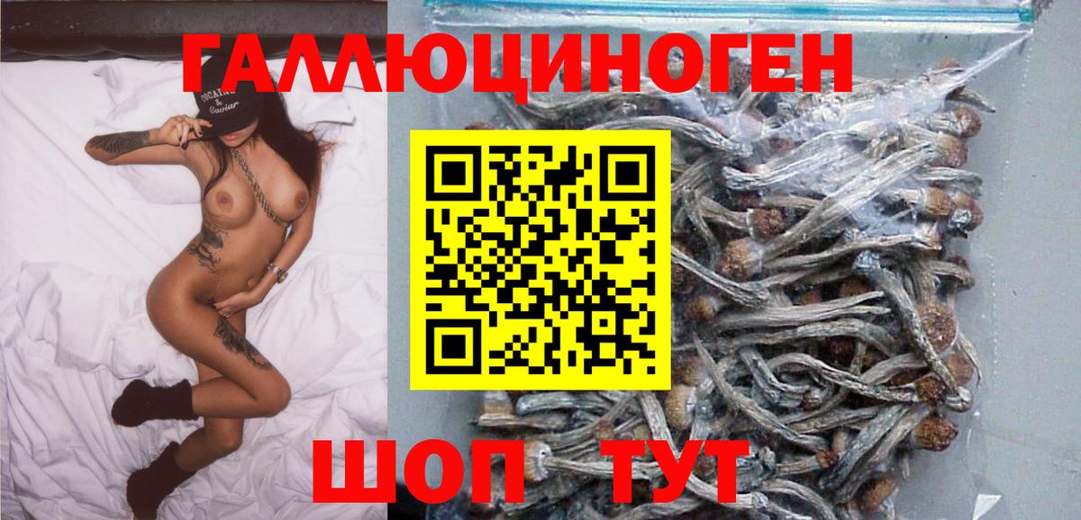 купить закладку  Псилоцибиновые грибы прущие грибы  Вход с VPN  Подольск  Галлюциногенные грибы GOLDEN TEACHER 